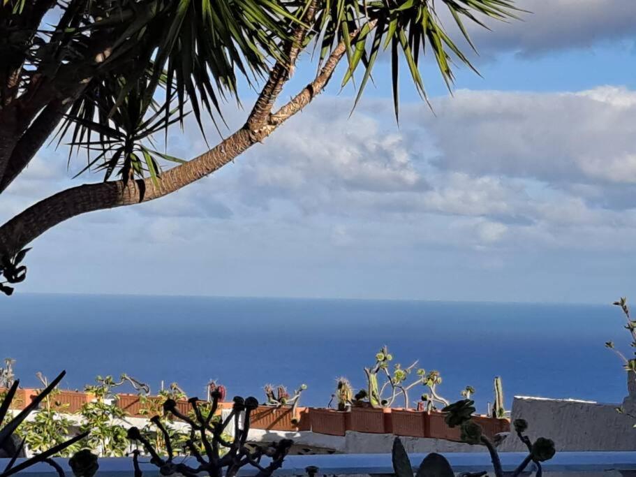 Tenerife Apartment Dulcynea With Terrace And Garden 600M2 With Ocean And Teide View Icod De Los Vinos Exterior foto